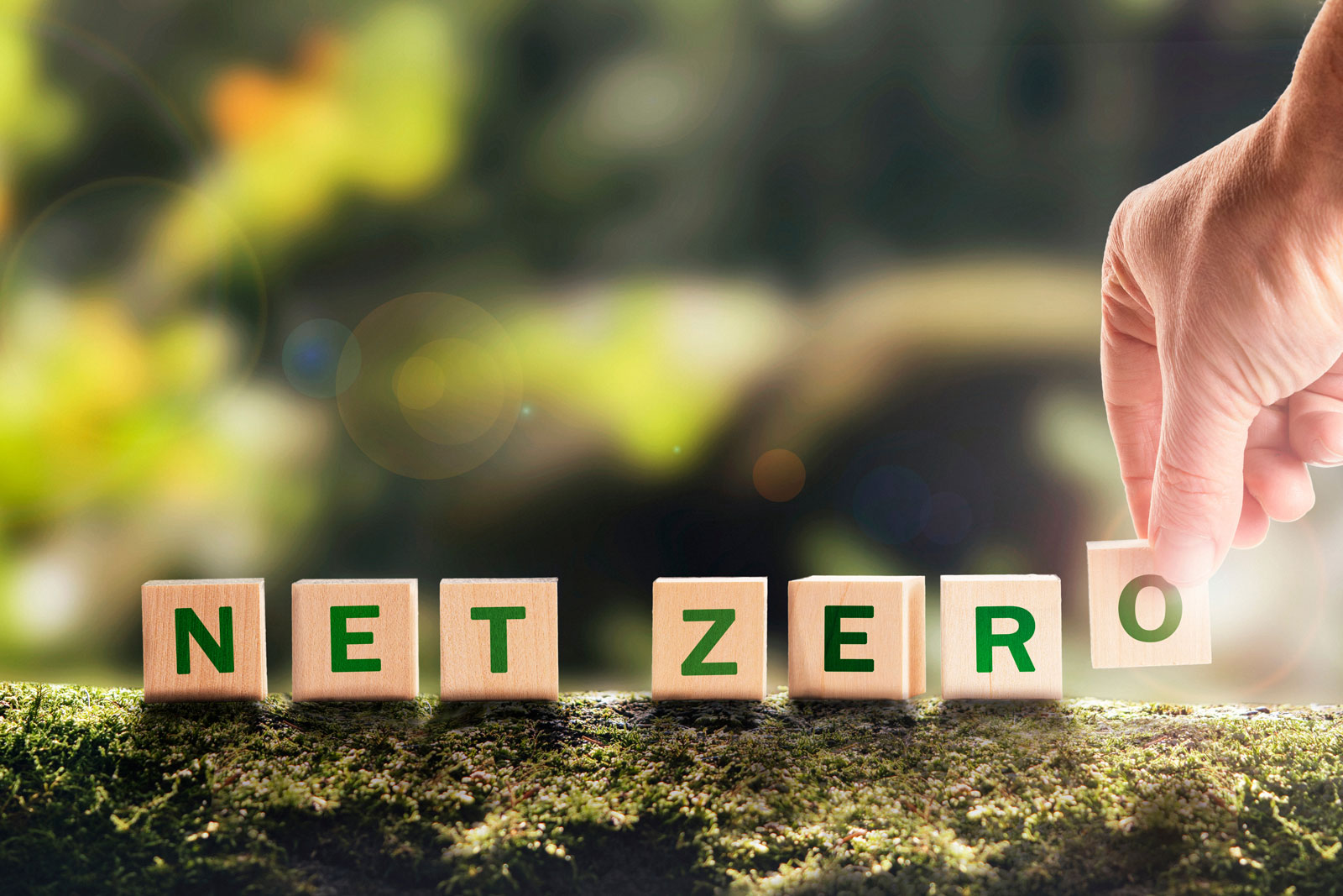 Net Zero strategy block by block